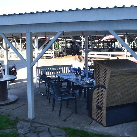 Farm Stay Hof Auf Der Wurp Harrierwurp 외부 사진