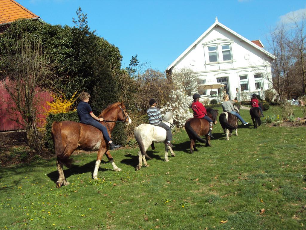 Farm Stay Hof Auf Der Wurp Harrierwurp 외부 사진